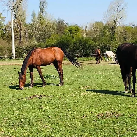 Maisonnette Du Haras De L'olivier *