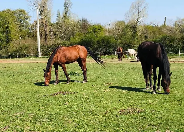 Maisonnette Du Haras De L'olivier *